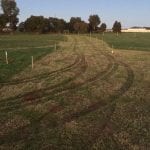 bobcat hire Smithfield about to begin digging out new driveway