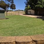 bobcat hire finished result of new lawn installation at Williamstown