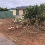 bobcat hire overgrown garden removal in Blakeview