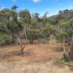 bobcat hire Williamstown bushfire hazard reduction