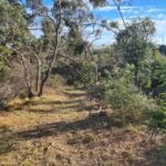 bobcat hire Williamstown property firebreak clearing