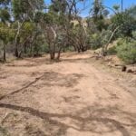 bobcat hire Williamstown clearing property for fire hazard reduction